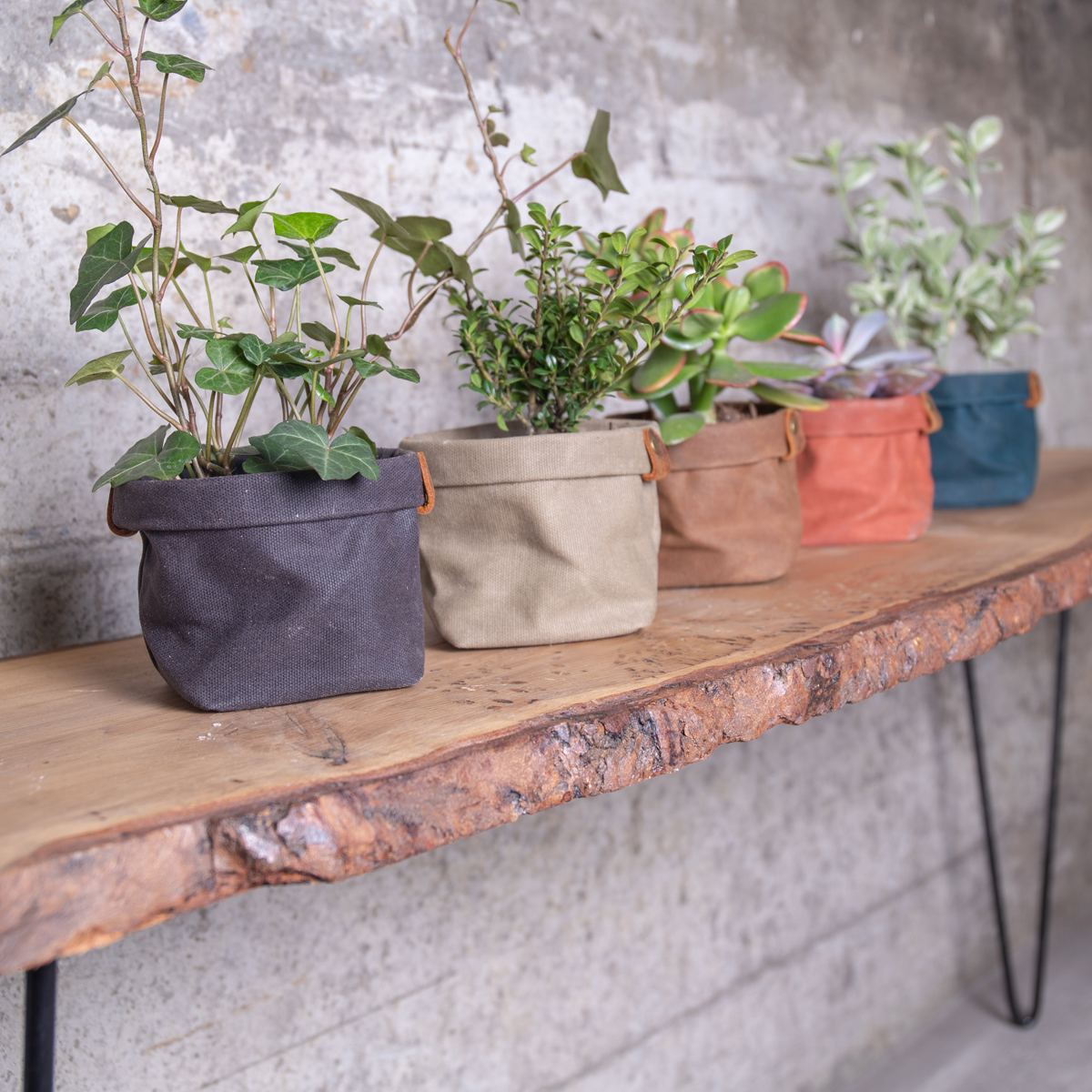 set-cache-pot-toile